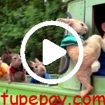 Https://youtu.be/hml85h16vkc?si=kcsmryyotb4taehh