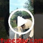 Https://youtu.be/p7dcsvizlmg?si=qc60fuz92c077hat